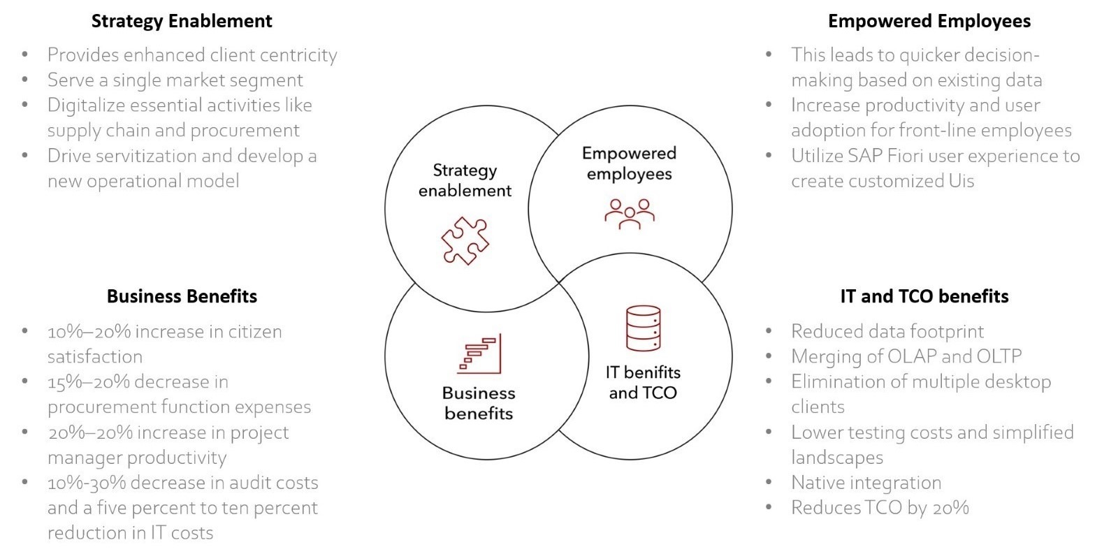 RISE with SAP for Public Sector